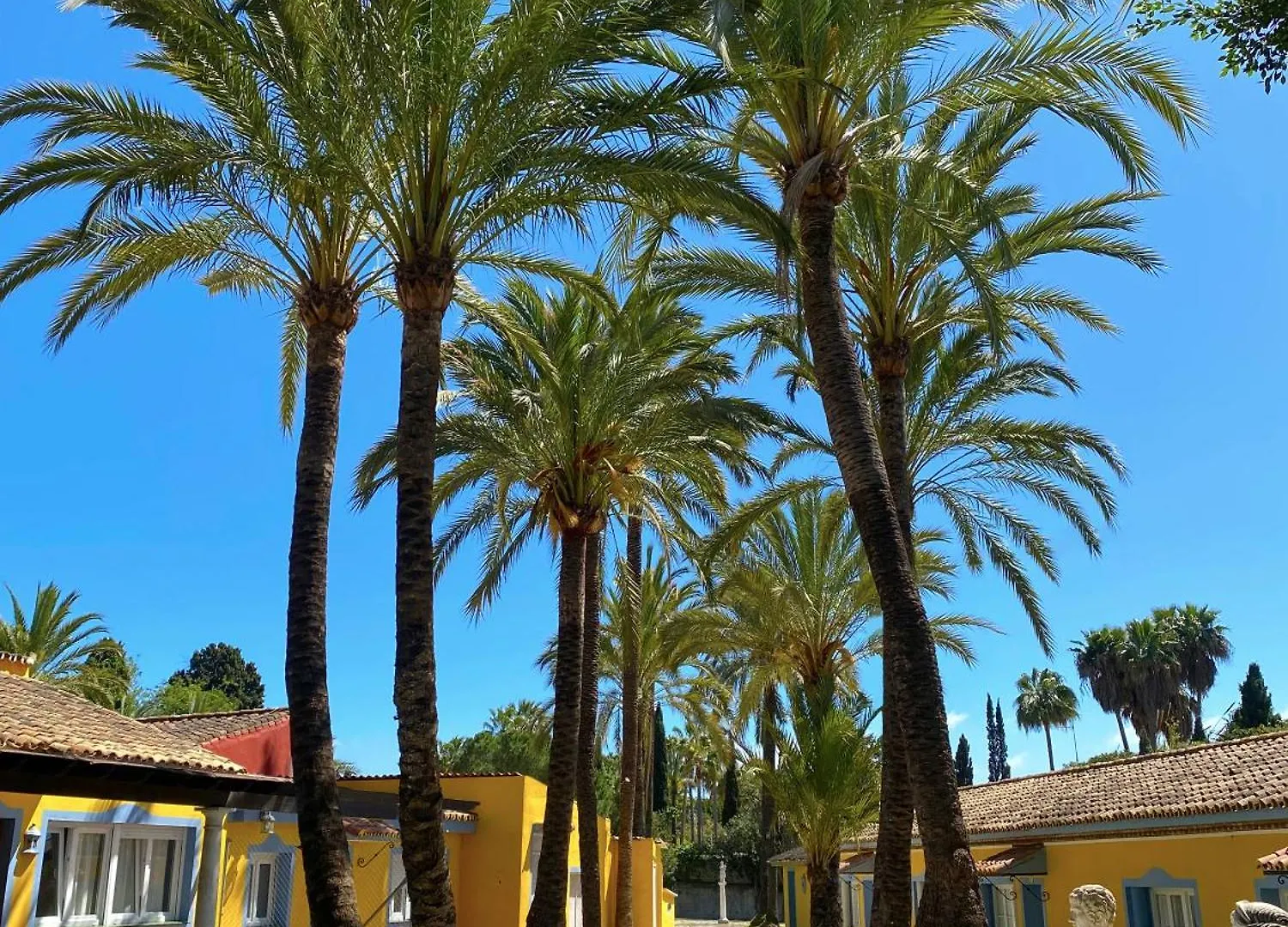 Cortijo La Saleta Banus Apartamento Marbella